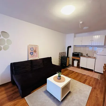 Dijana Apartment *