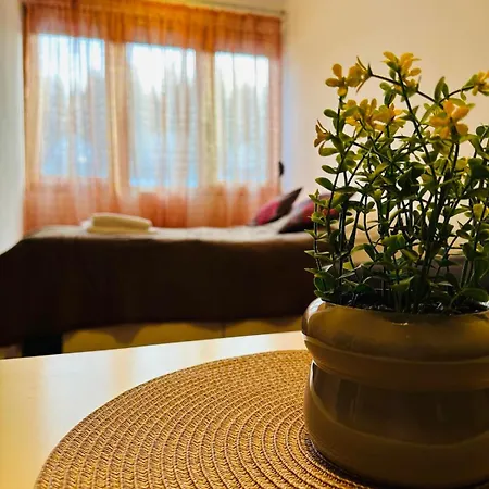 Apartment Dijana
